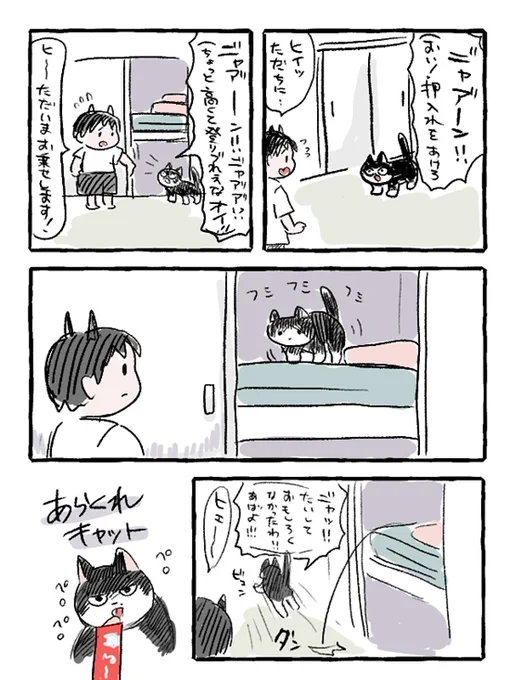 あらくれキャット! 