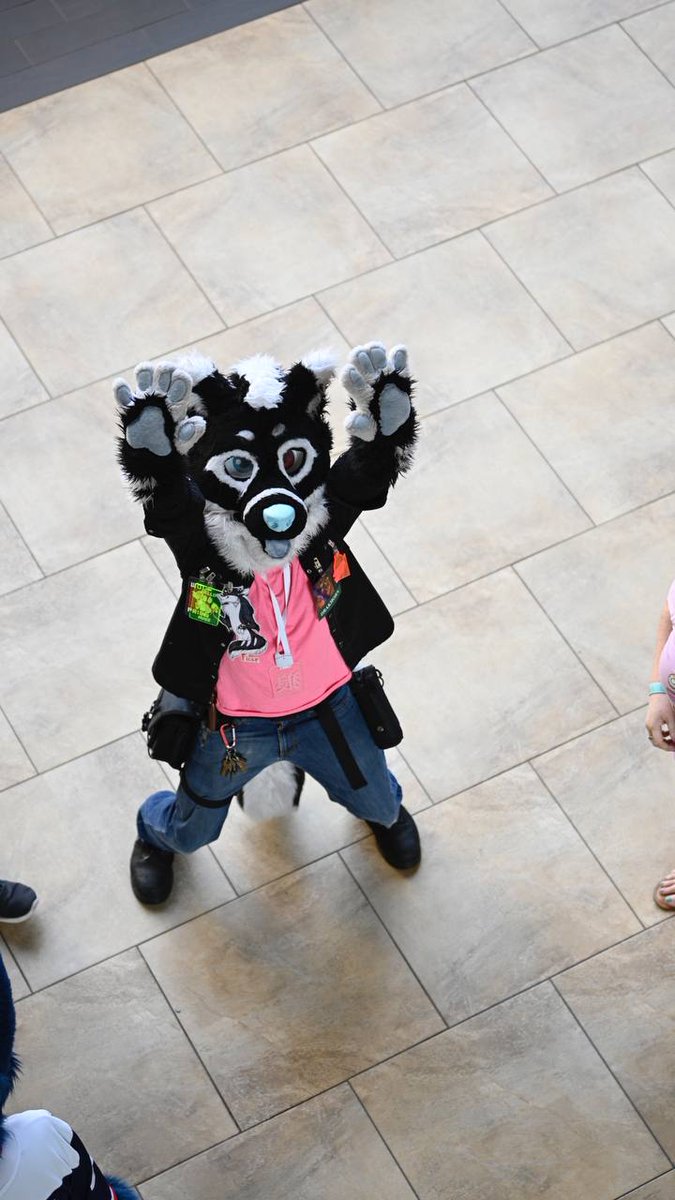 FiearTheWolfdog's tweet photo. Reach for the sky #FursuitFriday #furry #fursuit #fsc2022 https://t.co/hSqpEZvll9