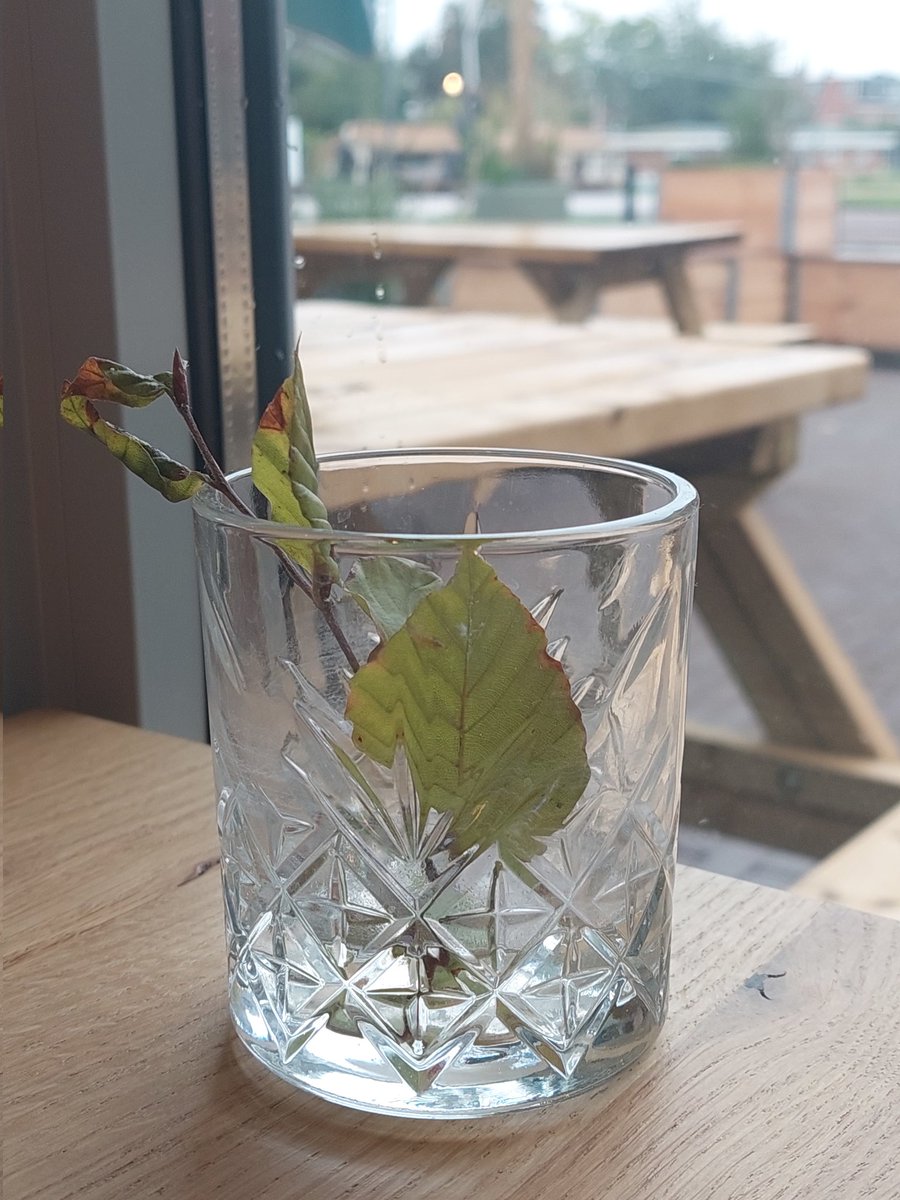 mgeld27's tweet photo. Is dit nu DE hippe minimalistische versiering bij Scandinavisch ingerichte koffietentjes? #hip #koffietentjes #cupp https://t.co/uvKl2dWR2E