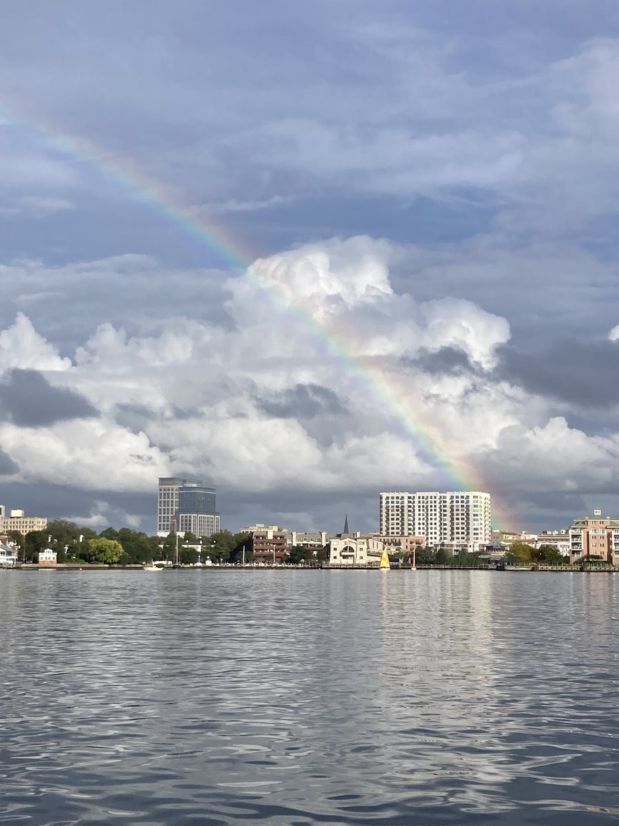 Shira Anthony tweet media