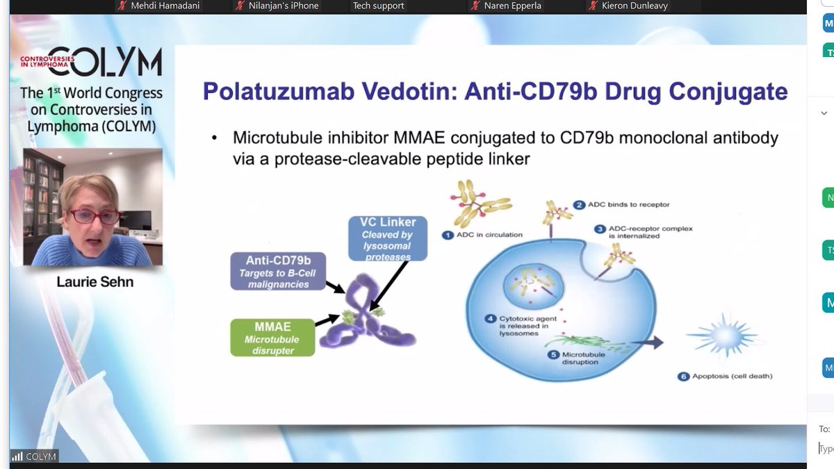 Kicking off frontline DLBCL session is Prof. Sehn: Debate Pola-R-CHO is new soc in 1st #colym <a href="/TheIACH/">IACH</a>  #lymsm