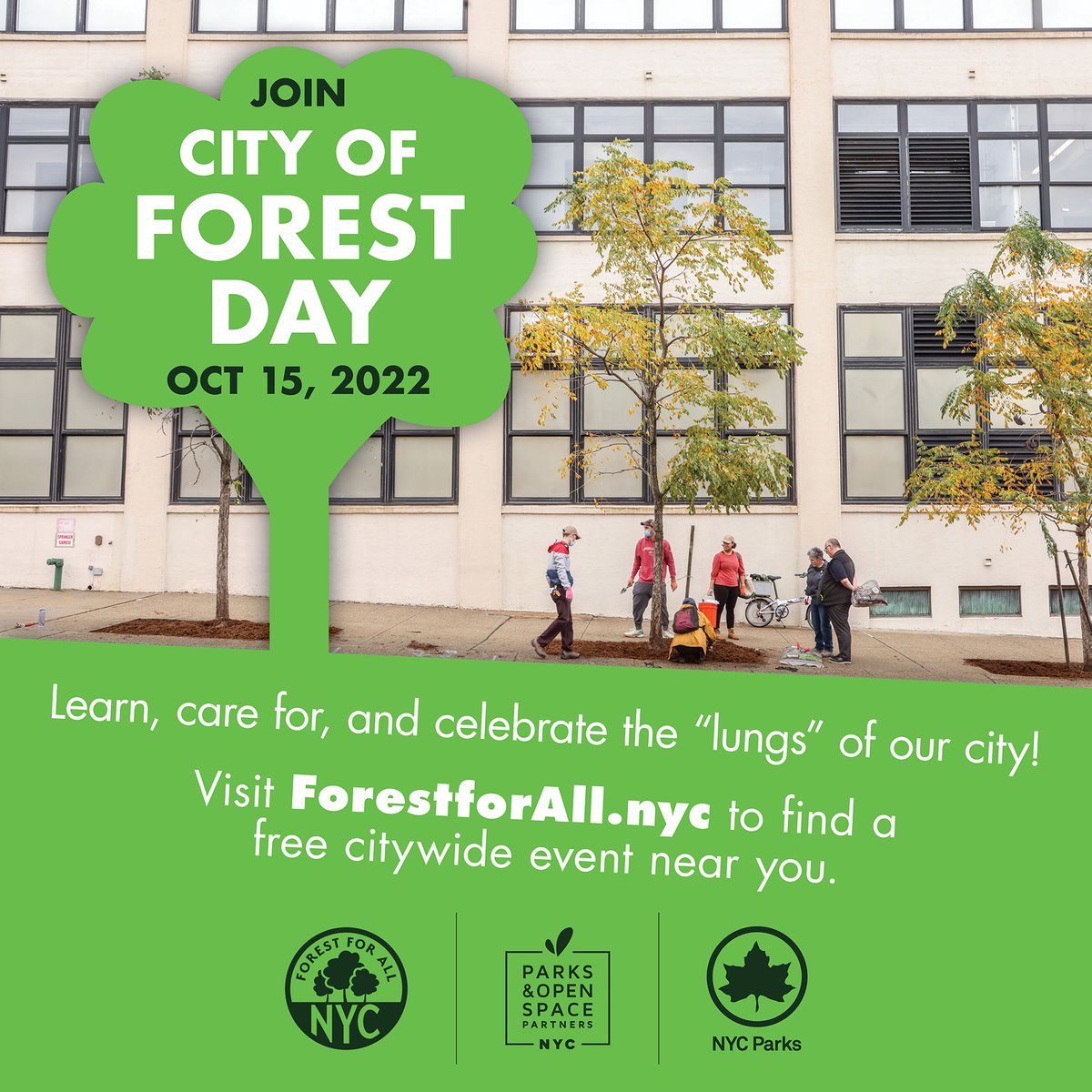 TreesNewYork's tweet photo. JOIN US @ our #TreeStewardship event in #JacksonHeights #Queens this Saturday 10/15 for the 1st #CityofForestDay! Come help us care for #NYCtrees @ 11:30am for 1 hour @ 82nd St & 35th Ave in front of St. Joan of Arc School. Click here to RSVP: https://t.co/U5HiDOQYkJ #urbanforest https://t.co/e3ge2g4YQa
