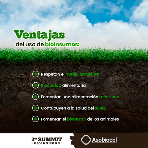 asobiocol's tweet photo. En el 3er SUMMIT aprendimos las ventajas del uso de bioinsumos en cultivos de exportación.
#Asobiocol #Suelos #Agriculturasostenible #Sectoragroexportador #AgriculturaConsciente #Controldeplagasyenfermedades #elicitores #cultivossanos
#3erSUMMIT #3erSUMMITNacionalBioinsumos https://t.co/L2zqgAshRk