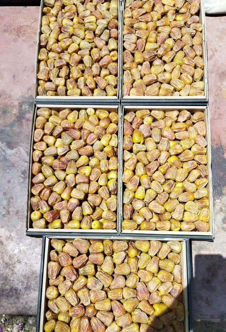 تمور ثامر🌴 (@thamerdates) on Twitter photo 