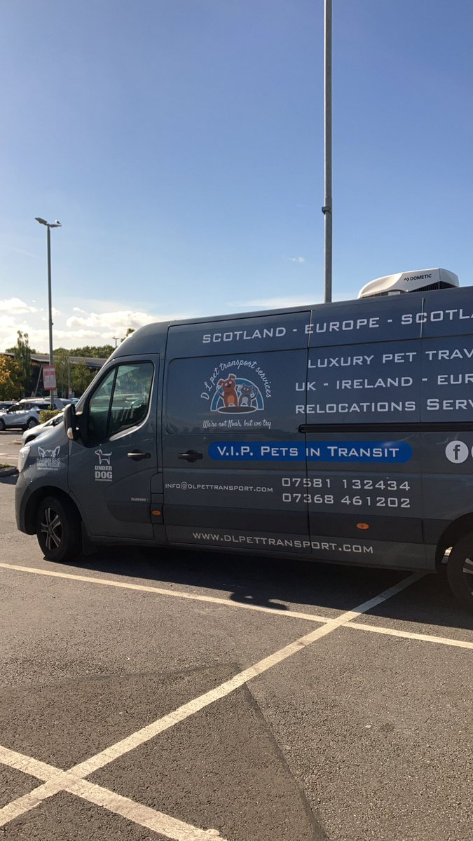 dlpettransport's tweet photo. We had the pleasure of transporting these 2 gorgeous dogs that flew in from China 🇨🇳 to Frankfurt in Germany 🇩🇪 to be reunited with there Owners in Aberdeen in Scotland 🏴󠁧󠁢󠁳󠁣󠁴󠁿 and Dublin In Ireland     🇮🇪 
#reunited  #relocation #homeatlast  #petlovers #china #aberdeen #dublin https://t.co/iq9XJgiB0N