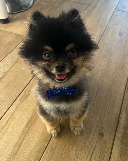 HAPPY BIRTHDAY MANDO 🎉   I can&rsquo;t believe you&rsquo;re now 2!   Words can&rsquo;t describe how much I love you 🥰 https://t