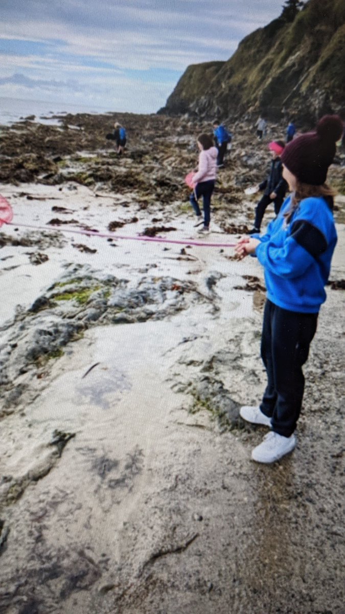 Gnmgreenteam's tweet photo. Thanks to @explorersedu our 4th classes had a great outdoor workshop exploring the rockpools on #Tramore beach recently. Our classes are continuing to explore the seashore theme @GreenSchoolsIre @MarineInst @explorersedu https://t.co/e51bgE0dgd