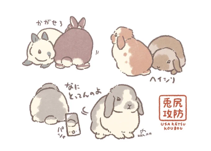 兎尻攻防 