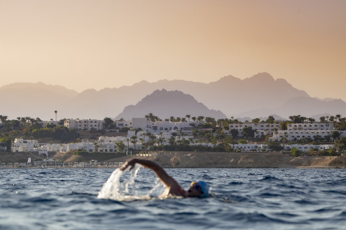 LewisPugh's tweet photo. Today, I’ll swim into Sharm El-Sheikh, where this year’s crucial UN Climate Summit kicks off in just 3 weeks 🌎
I’m bringing world leaders a message: If we don’t drastically cut our emissions, we risk losing all the world’s coral reefs.
That would be devastating.
#COP27 https://t.co/pbtMraFEAF