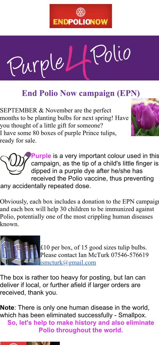 CandO Rotary (@rotarycando) on Twitter photo PLS RT- Buy some beautiful purple tulip bulbs and help to bring an end to Polio. Help us to End Polio Now. Contact Ian - ismmcturk@gmail.com <a href="/AmazingAccy/">Amazing Accrington</a> <a href="/HyndburnLT/">Hyndburn Leisure</a> <a href="/THE_HRVCVS/">Hyndburn and Ribble Valley CVS</a> <a href="/HyndburnCouncil/">Hyndburn Borough Council</a> <a href="/ASFCcommunity/">Accrington Stanley Community Trust</a> PLS RT- Buy some beautiful purple tulip bulbs and help to bring an end to Polio. Help us to End Polio Now. Contact Ian - ismmcturk@gmail.com <a href="/AmazingAccy/">Amazing Accrington</a> <a href="/HyndburnLT/">Hyndburn Leisure</a> <a href="/THE_HRVCVS/">Hyndburn and Ribble Valley CVS</a> <a href="/HyndburnCouncil/">Hyndburn Borough Council</a> <a href="/ASFCcommunity/">Accrington Stanley Community Trust</a>