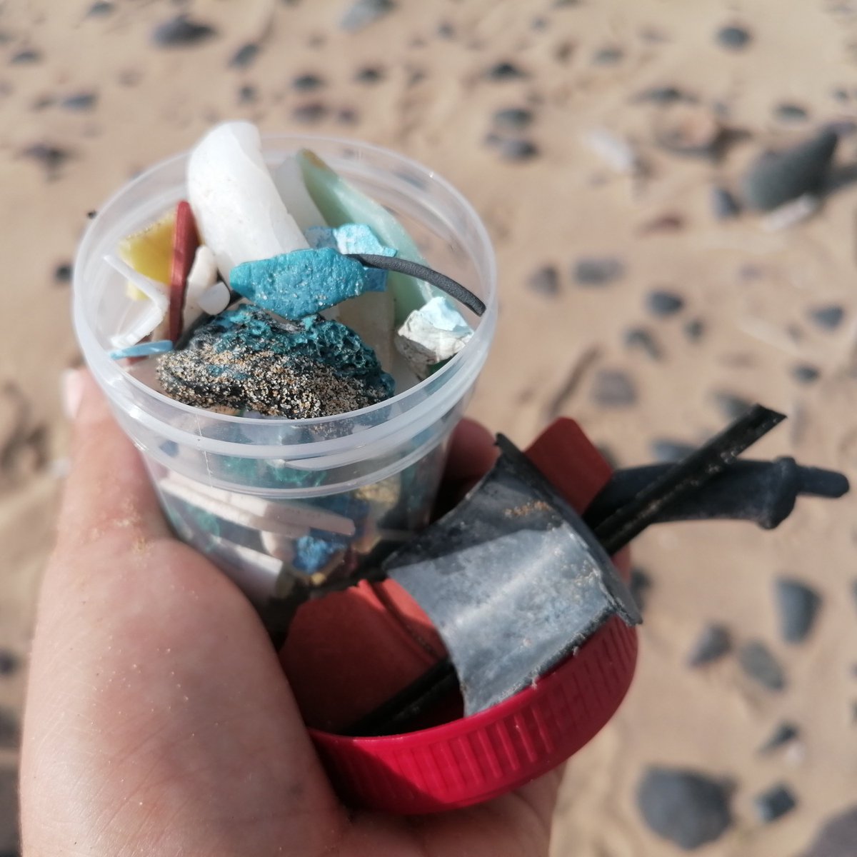 MARE_Madeira's tweet photo. Day 2: Monitoring marine non-indigenous species and more marine litter sampling.
#oceanlit #implamac #DRAAC #arditi @MARE_centre @IMPLAMAC #PortoSanto https://t.co/8QoeMVe3Mz