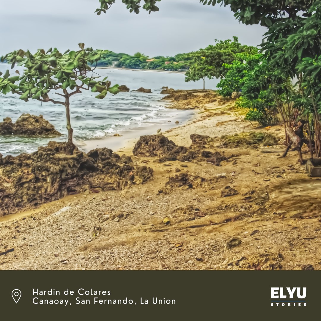 elyustories's tweet photo. Before Urbiztondo, Canaoay village near Poro Point is one of the popular beach in the 80s.

At the end of this long shoreline is a quaint resort far away from the crowd.

#poropoint #coralpoint #hardindecolares https://t.co/VWUIuQcYJg