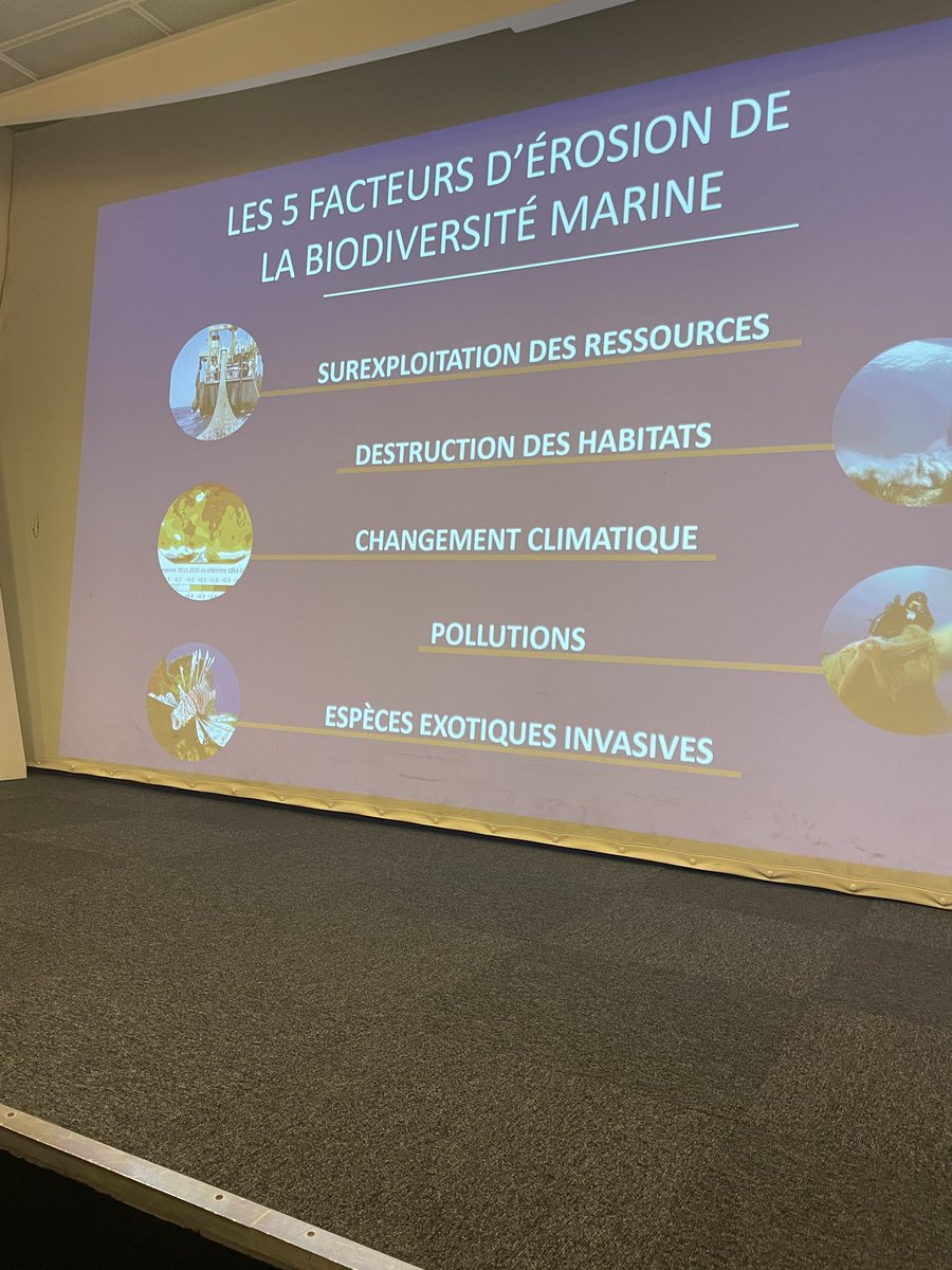 Heureux d’intervenir au nom de <a href="/RenaudMuselier/">Renaud Muselier</a> au forum #biodiversite et #economie organisé par l <a href="/OFBiodiversite/">Office français de la biodiversité</a> j ai rappellé l engagement de <a href="/maregionsud/">Région Sud</a> pour la sauvegarde de la biodiversité #copsavance #mer  #terre <a href="/PureOceanFund/">Pure Ocean</a> <a href="/Ecologie_Gouv/">Min. Ecologie Territoire Transports Ville Logement</a> <a href="/MerGouv/">Mer et Pêche</a>