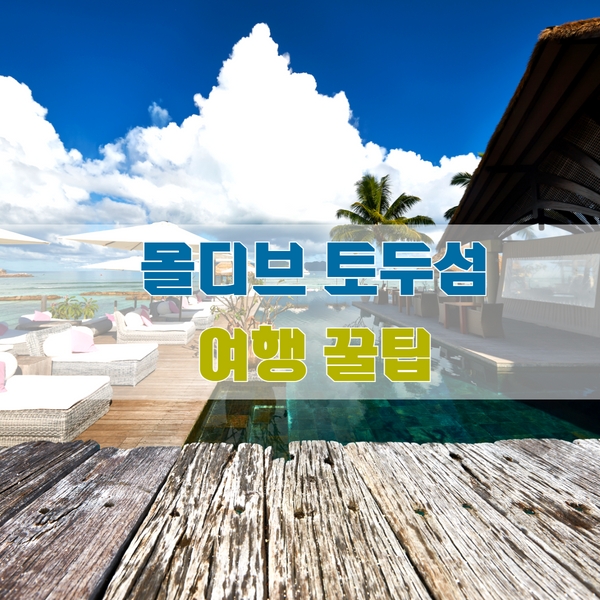 AIRTNTOFFICIAL's tweet photo. ‼️몰디브로컬섬 토두섬 여행지 꼭 알아야 할 지침 가이드‼️
자세한내용은👉https://t.co/Hw6OqF7aie

#airtnt #AirTnT #tnt #여행 #여행스타그램 #여행이좋다 #여행지추천 #여행중독 #소통해요 #꿀팁공유 #여행다녀왔습니다 #혼자여행 #여행준비 #여행꿀팁 #해외여행 #국내여행 #축제 #여행에미치다 https://t.co/x03cEsIPVM