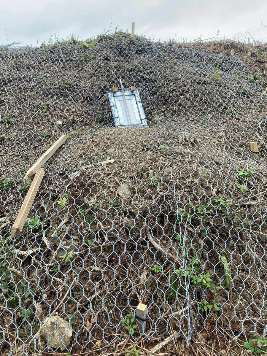KernowSabs's tweet photo. This is progress apparently? @CornwallCouncil @CwallWildlife 
Badger gates, more like #Badgergate ! One way gates. They can leave (that's if they're not too scared) but there is no return! https://t.co/nzQ5qK1nHK