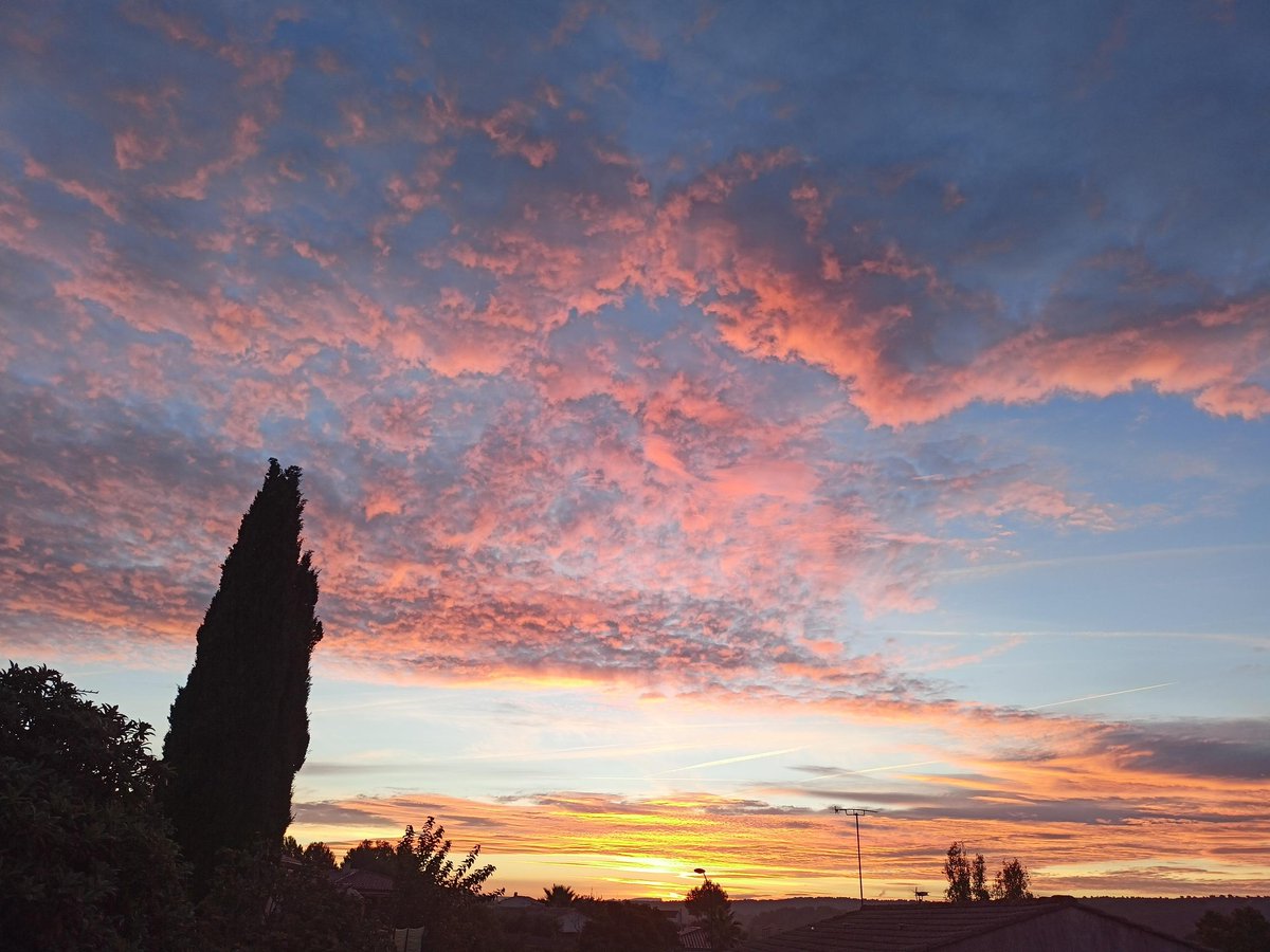 MeteoFrance_SE's tweet photo. Ce vendredi, temps généralement sec sur les régions méditerranéennes, de la nébulosité d'altitude en marge d'une perturbation pluvieuse sur le centre du pays.
Belles couleurs au lever du jour, merci pour vos #ObsParticipatives à Lançon de Provence (13) et Les Issambres (83). https://t.co/Kt0yjI0sCr