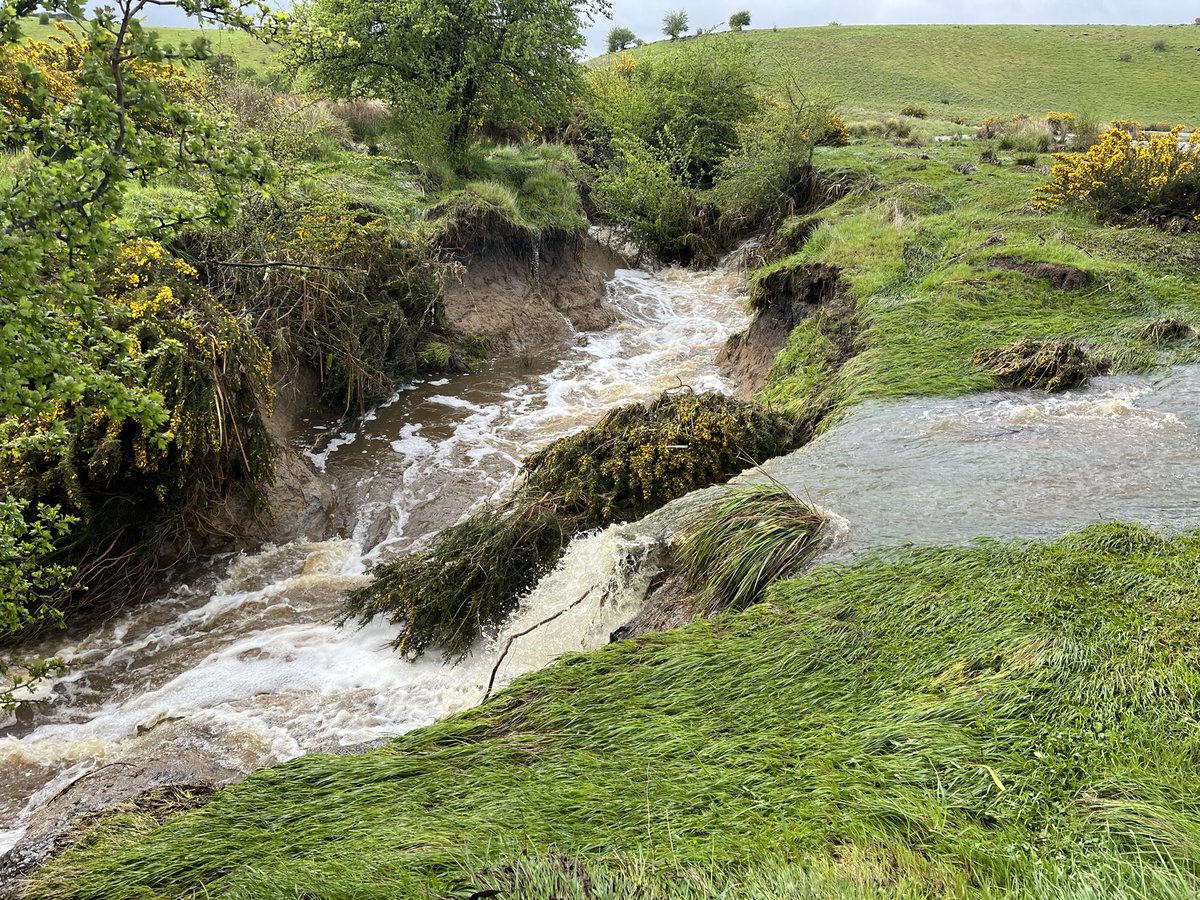 Joe Druce tweet media