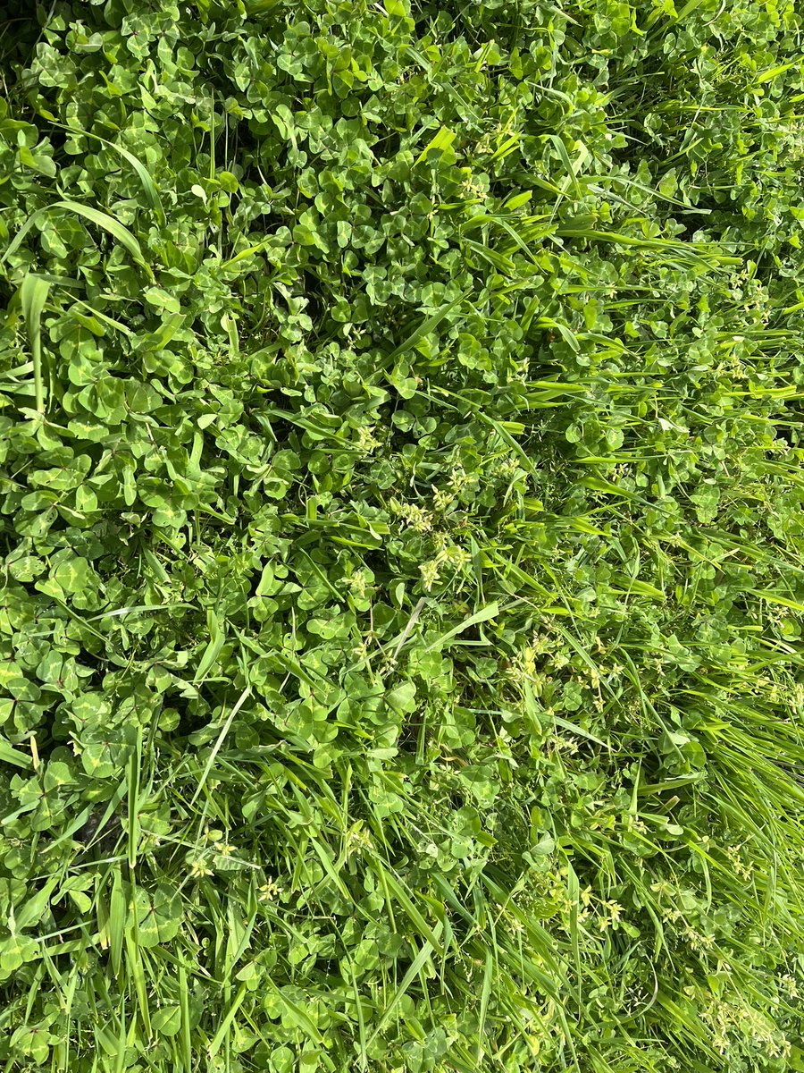 Joe Druce tweet media