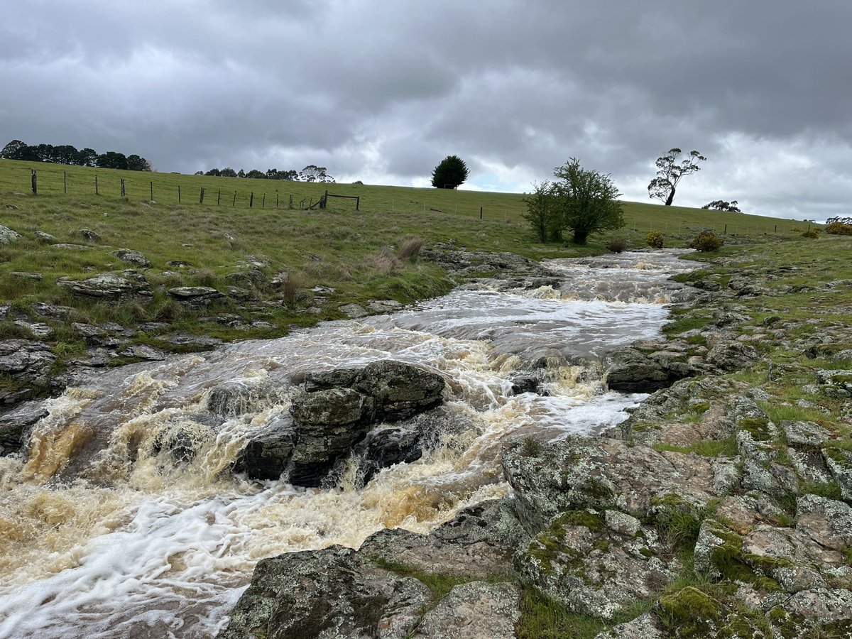 Joe Druce tweet media