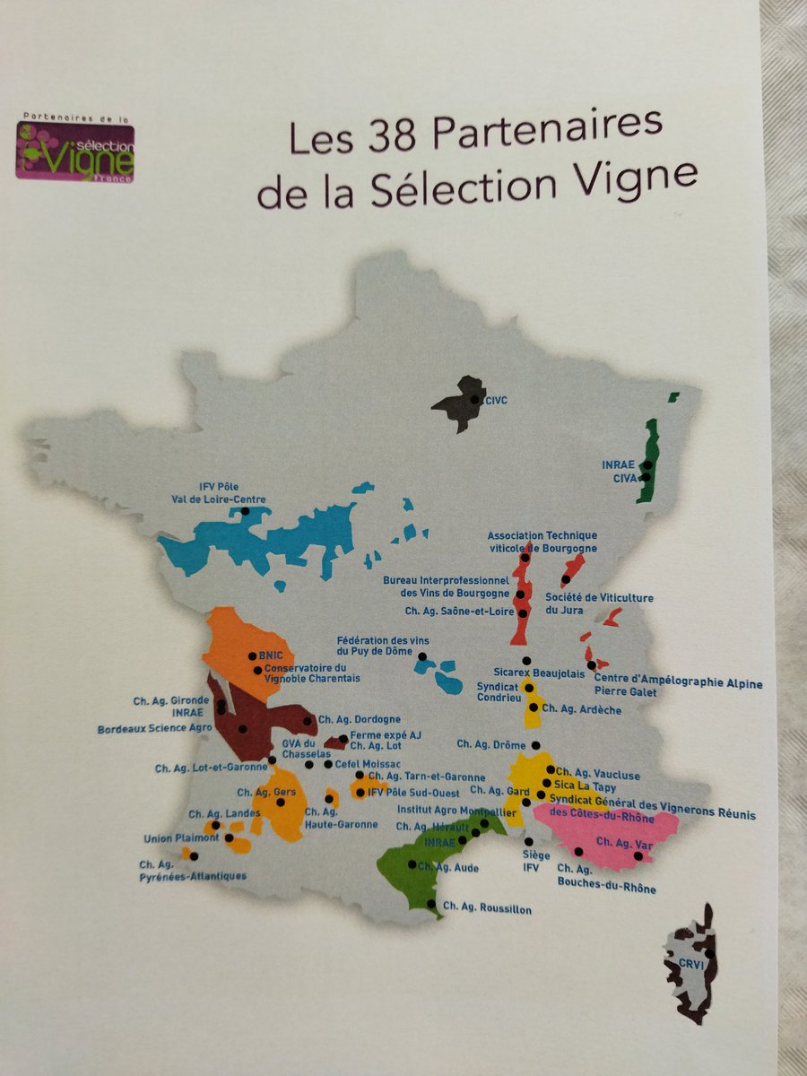 vignevinfrance's tweet photo. Depuis 2006, 41 variétés ont été inscrites au catalogue français des variétés grâce au réseau de valorisation de la diversité de la vigne porté par la CTNSP. https://t.co/n4I0u1tFwF
