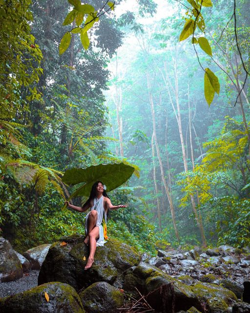 RepPlusUK's tweet photo. Who said you can't enjoy Samoa when it rains? 🍃 We love this beautiful moment captured by @rosevellaryn @mykastanley.samoa

#DiscoverBeautiful #BeautifulIsBack #BeautifulSamoa #BookNow #BeautifulAnticipation #BucketListDestination #RepPlusClient https://t.co/opHRBvKkdJ