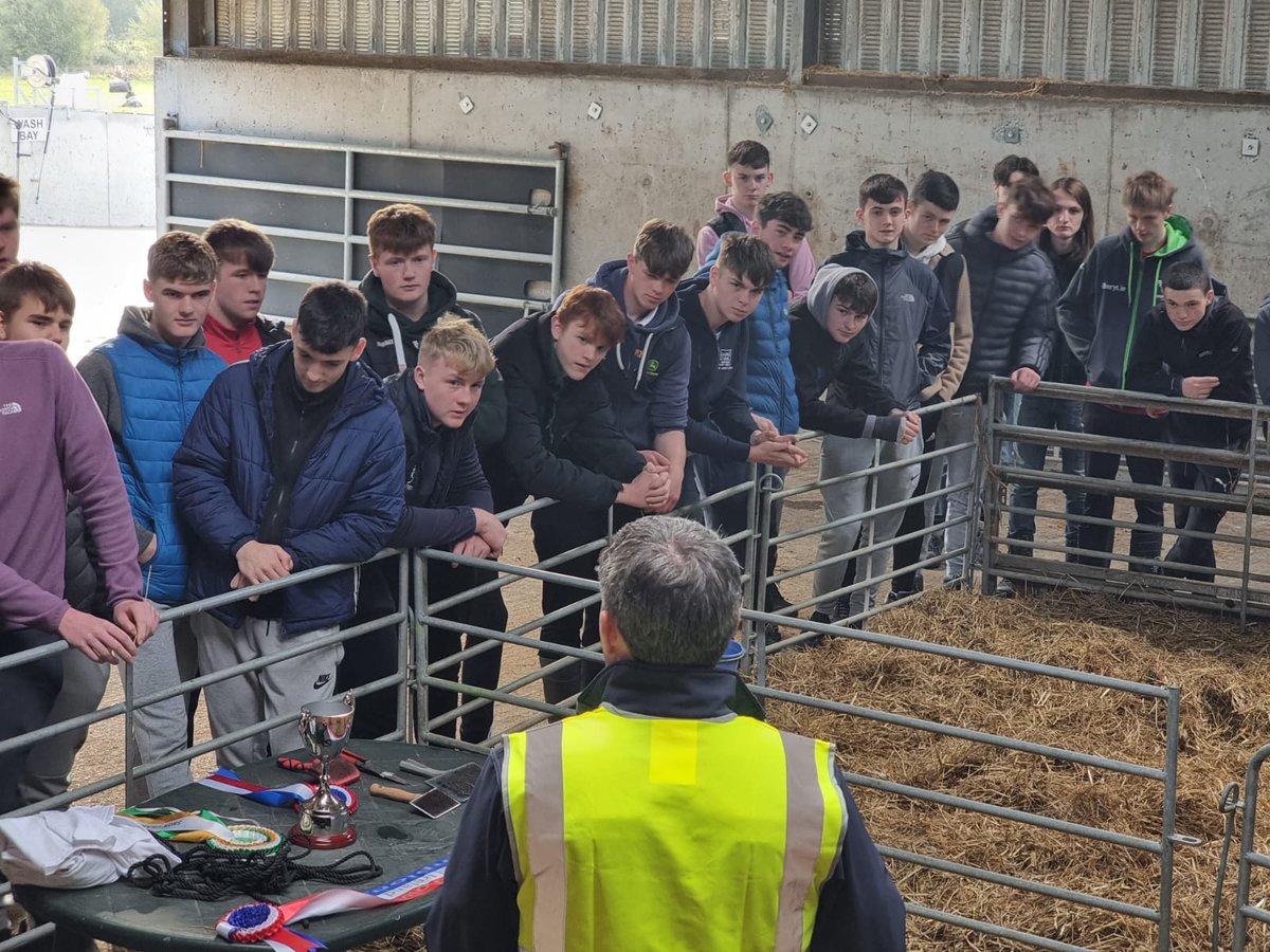 stgeralds's tweet photo. Our senior cycle Agricultural Science students travelled to Conroy Farm Tours in Galway yesterday with their teacher Ms Horan. They had an enjoyable and informative day, experiencing first-hand calf rearing, sheep breeding and grassland management. @lecheiletrust1 https://t.co/zhOFjBoUFr