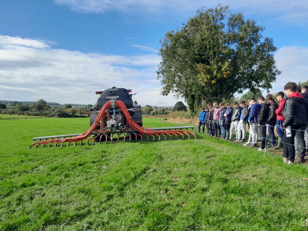 stgeralds's tweet photo. Our senior cycle Agricultural Science students travelled to Conroy Farm Tours in Galway yesterday with their teacher Ms Horan. They had an enjoyable and informative day, experiencing first-hand calf rearing, sheep breeding and grassland management. @lecheiletrust1 https://t.co/zhOFjBoUFr