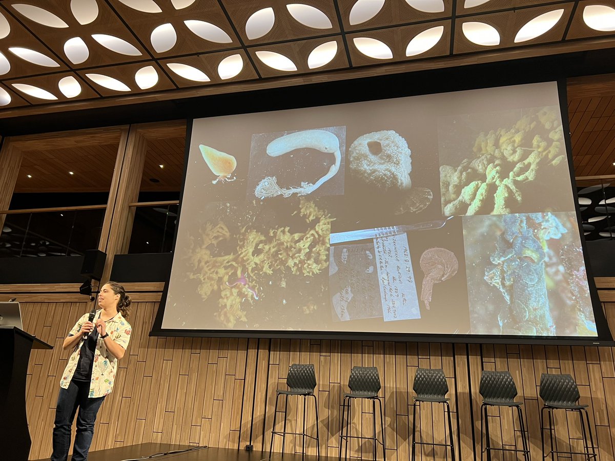 Sponge_2022 tweet media