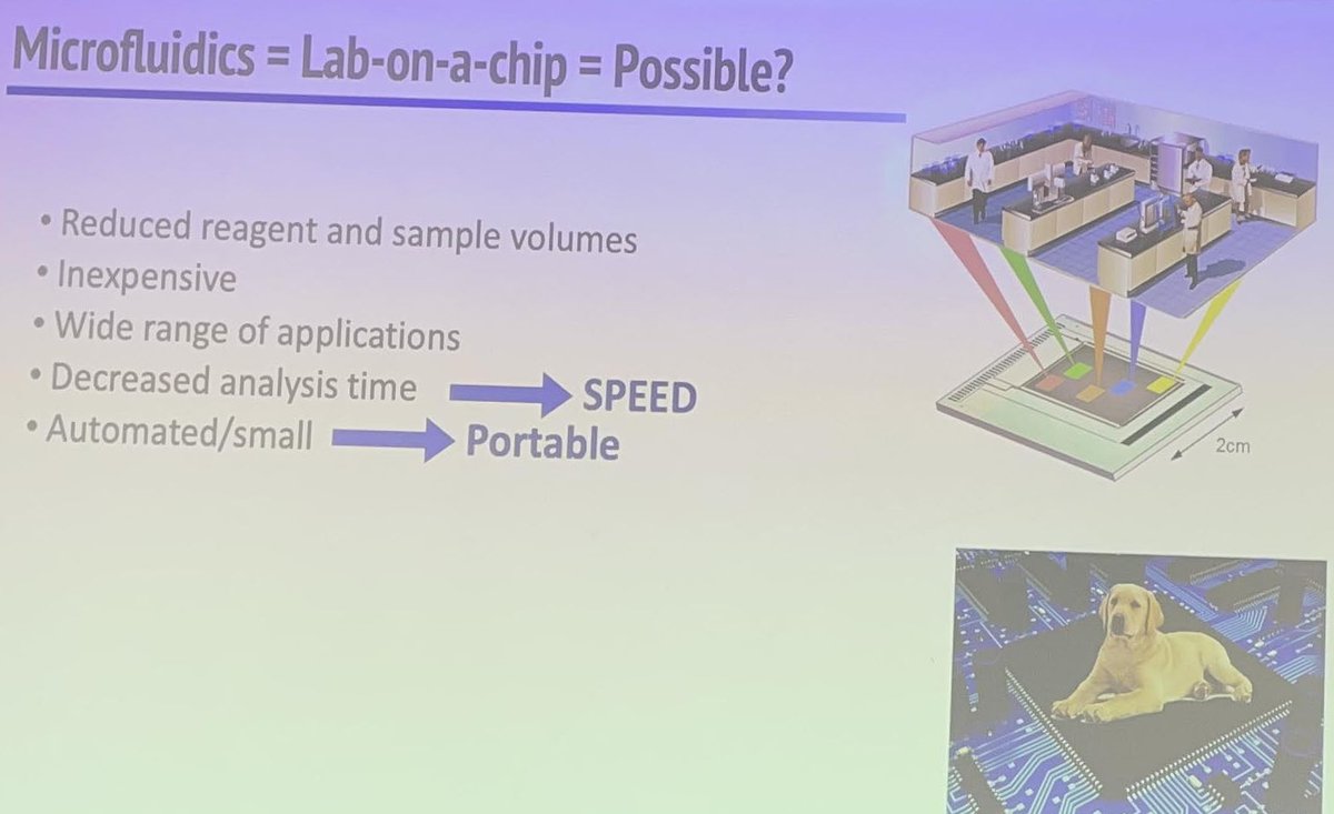 Prize for the most memorable slide at DCU's 'Diagnostic advances for a post-COVID world' goes to James Landers for "Lab on a chip"!  Thanks to all the speakers especially our guests Prof James Landers &amp; Keith O'Neill