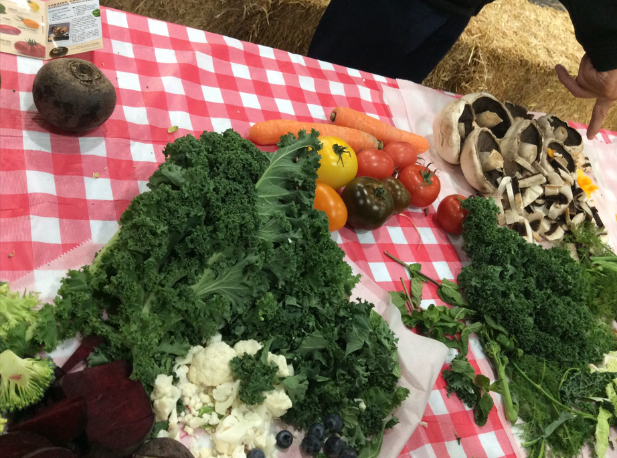 DecoyPri's tweet photo. Year 3 attended Farmwise at @WestpointExeter this week.  The children learnt about farming in Devon and where their food comes from. At Farmwise the children could touch, feel and even smell how a farm works. It was an amazing day. https://t.co/SKYWuOE7sD