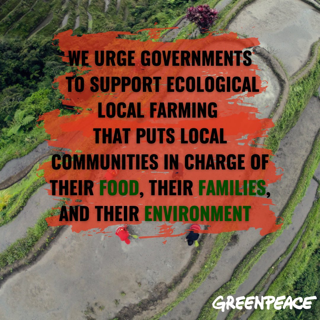 GreenpeaceSEA's tweet photo. Celebrating #WorldFoodDay ! 🥑🍎🍆🍠
Studies have shown that organic farming has been proven effective in increasing productivity for food crops, farmer incomes, environmental benefits, strengthened communities, & enhanced human capital.
#FoodForAll #ChangeTheFoodSystem https://t.co/ZlDF1LmCmE