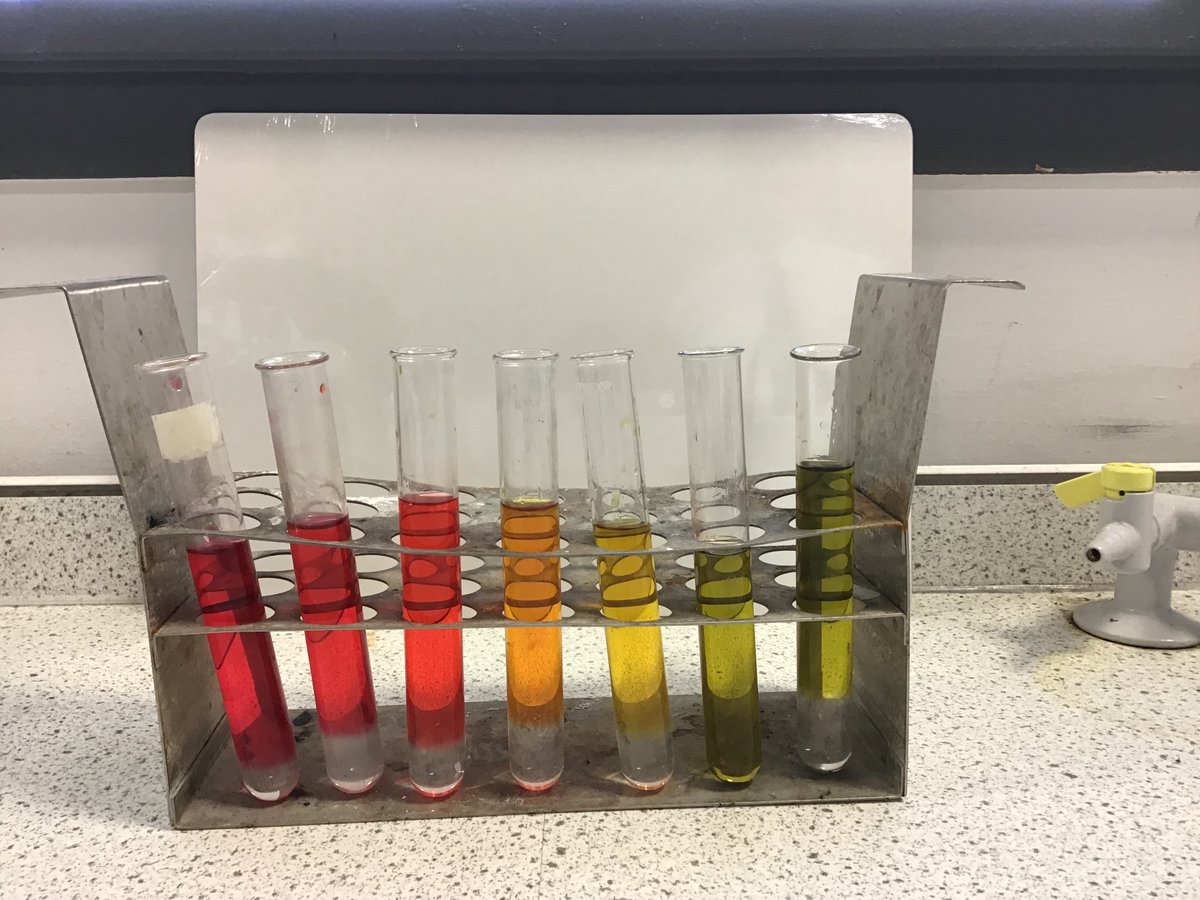 CHSScience_1's tweet photo. N5 Chemistry exploring serial dilutions of acid this morning.   Here's a perfect example.  Well done, Molly  Nelson!  @CalderheadHS https://t.co/8l1ueXdlgJ