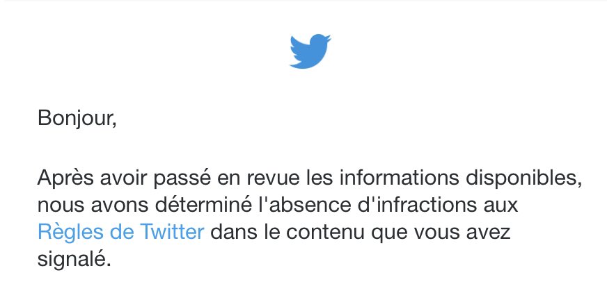 sophia aram tweet media