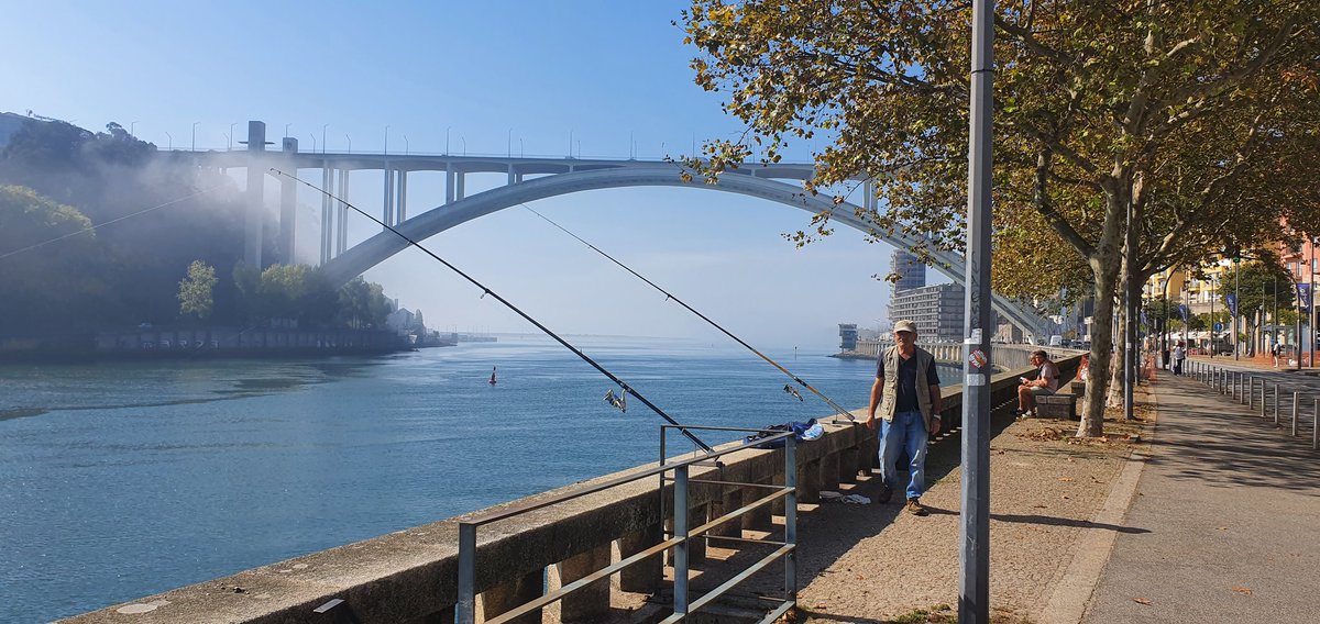 Sophie Spitters tweet media