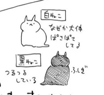 白猫がぱさぱさで黒猫がつるつるなのみんな共感してくれると思う 