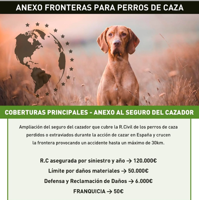 #Repost <a href="/Mutuasport/">MUTUASPORT</a> 
.
¿No conoces nuestro anexo de fronteras para perros de caza?
Infórmate de nuestros seguros a través de nuestra página web o contacte con su federación.

#MUTUASPORT #mutuadeseguros #seguros #seguroscaza #cazaseguro #Cazaworld