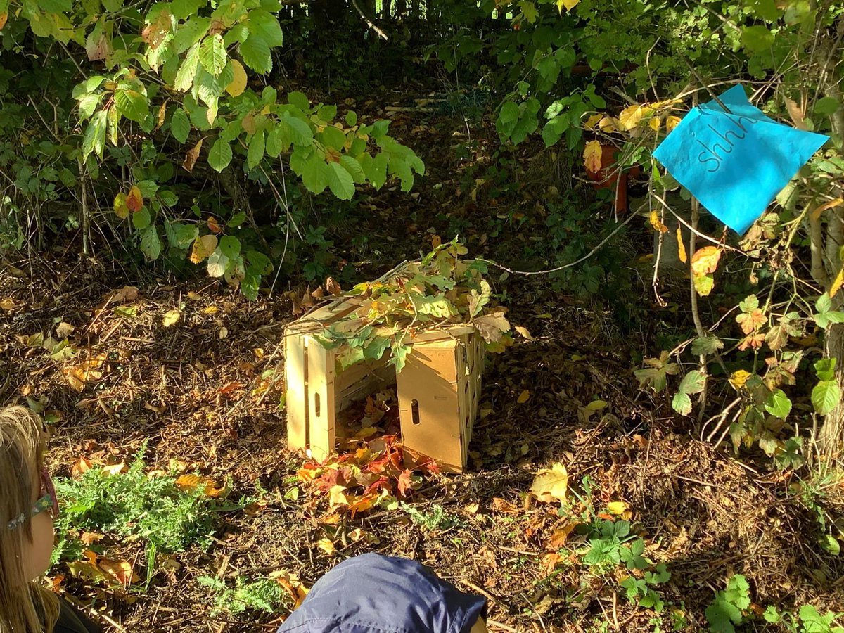 Sunnybrow Primary School tweet media