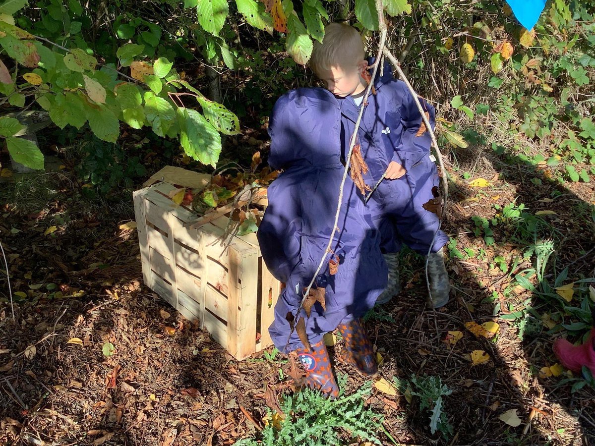 Sunnybrow Primary School tweet media