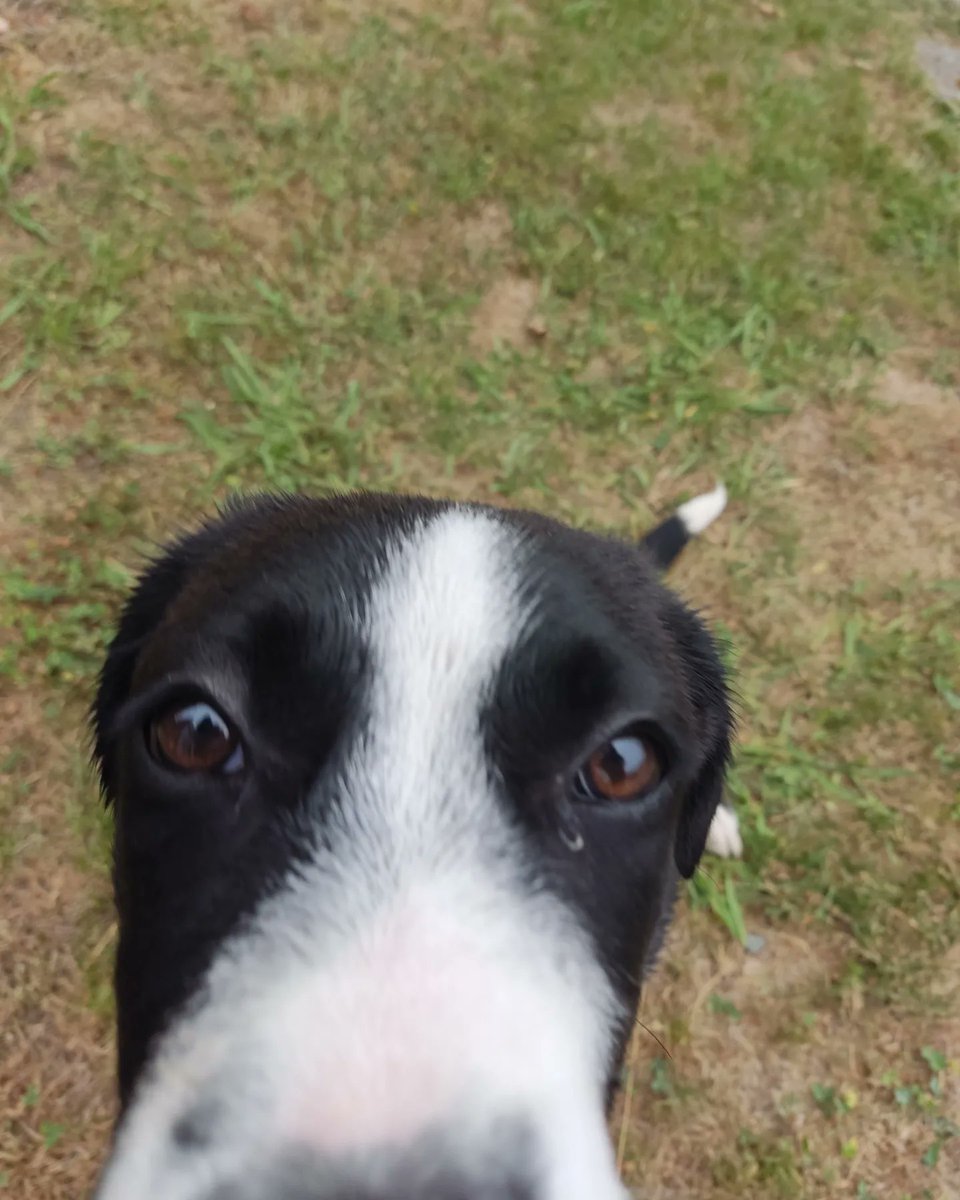 keiñu🐾🐾🐾🐾🐾🐾🐾🐾🐾🐾🐾