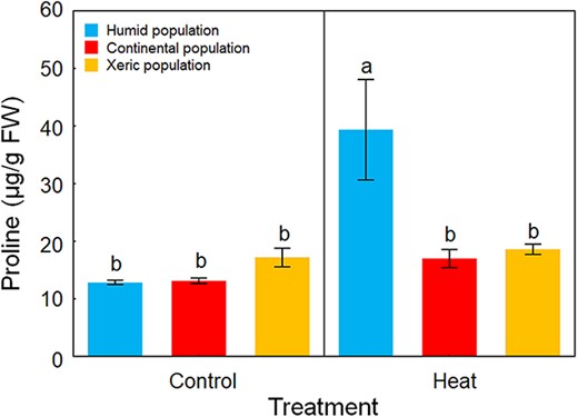 Forestry_OUP's tweet photo. Hot chestnuts roasting… 

Dorado et al combine molecular and physiological approaches to pinpoint markers involved in heat tolerance in the European chestnut.

👉 https://t.co/UkYrjPxUNO https://t.co/3TFJeHaOSb