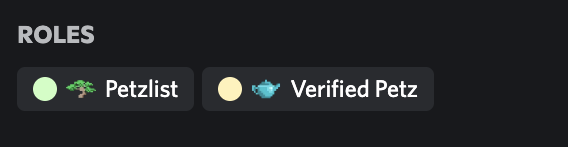 CactusSoft Success tweet media