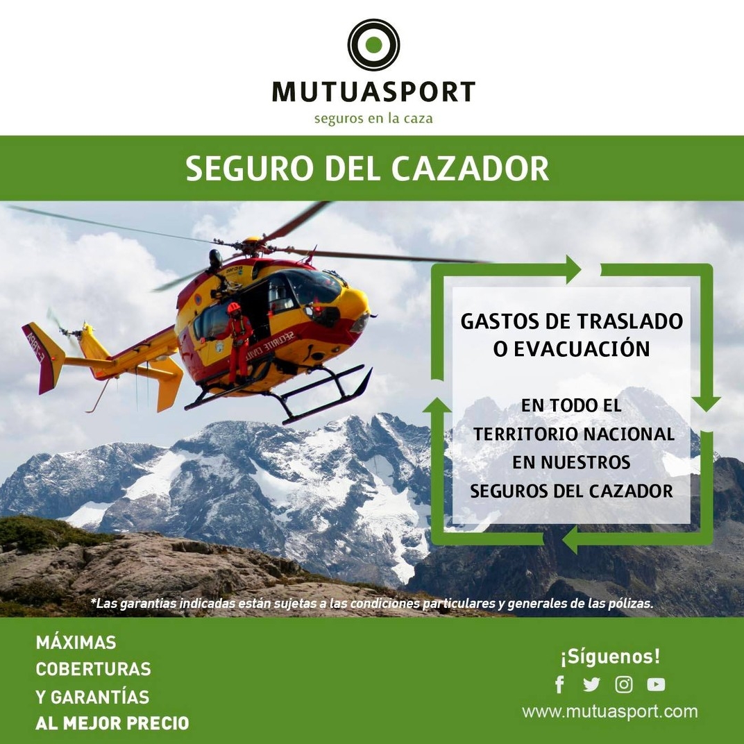 #Repost <a href="/Mutuasport/">MUTUASPORT</a>  
.
¿Los accidentes de caza se pueden prevenir?
Si, con mucha precaución pero debemos recordar que un accidente de caza sucede cuando menos lo esperas.
Contrata los seguros de caza con amplias coberturas.
¡Contrata el seguro Premium de Mutuasport!
#MUTUASPORT