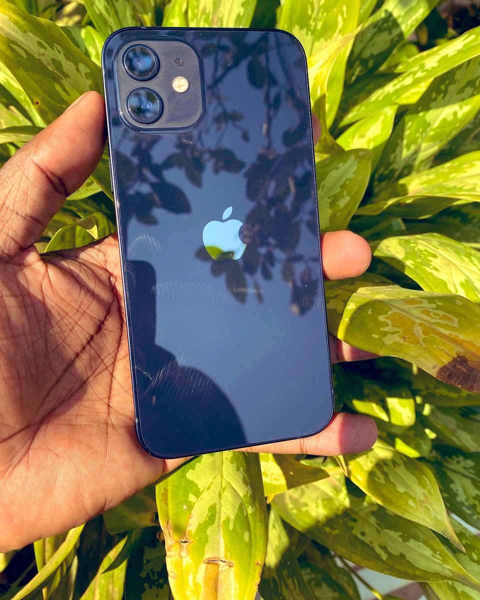 WaxxyLo's tweet image. Twitter Malawi iyi yokha zatengeni Iphone 12 ,256gb space, Battery  Health 89% siku lonse , Dual Sim Slots (TNM and Airtel zonse ) osati za two phones price MWK780,000 zokambiranaso call or app 0998038730

 #twitterforiphone #foriphone #Malawi