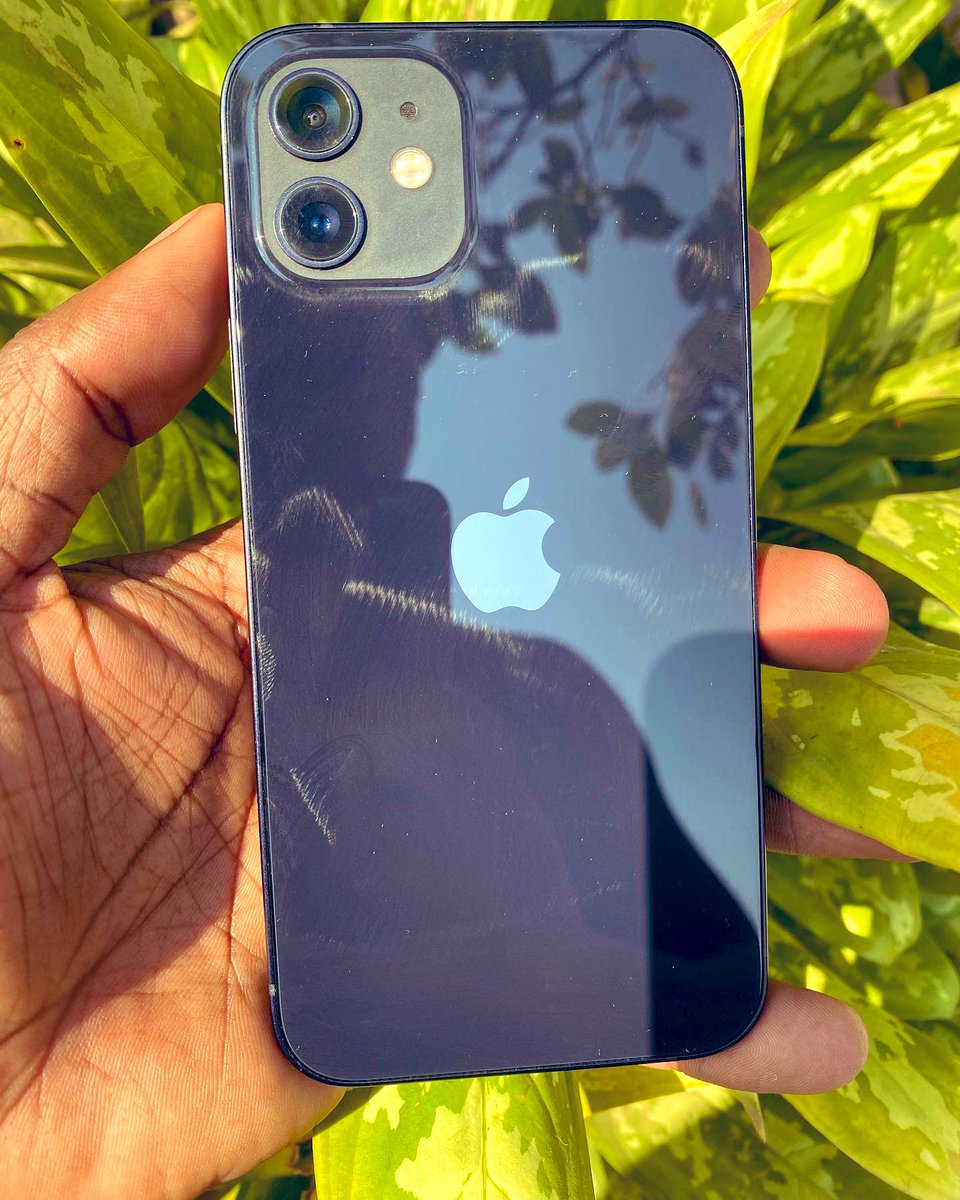 WaxxyLo's tweet image. Twitter Malawi iyi yokha zatengeni Iphone 12 ,256gb space, Battery  Health 89% siku lonse , Dual Sim Slots (TNM and Airtel zonse ) osati za two phones price MWK780,000 zokambiranaso call or app 0998038730

 #twitterforiphone #foriphone #Malawi