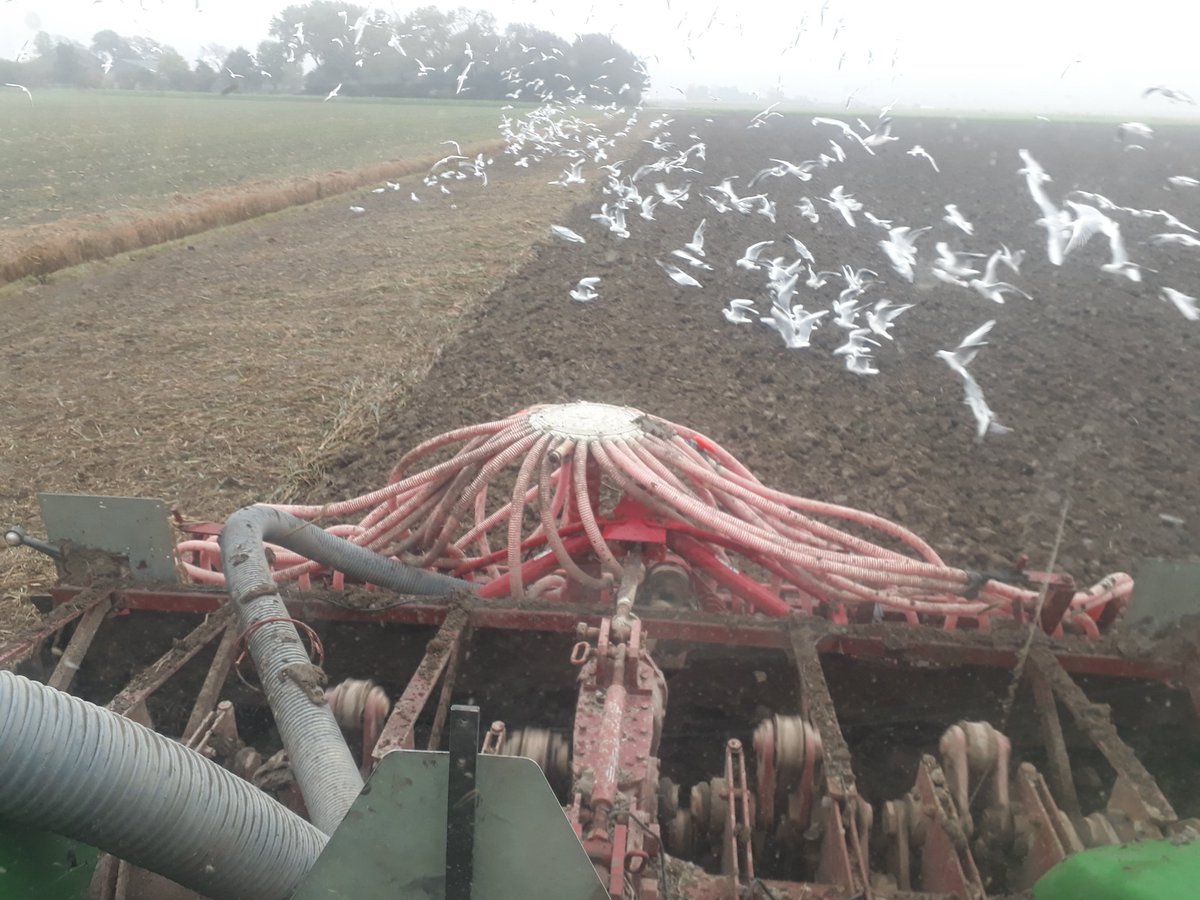 door de nieuwe wet en regelgeving zijn wij als voedsel producent verplicht minimaal 3 meter uit de sloot vandaan te blijven dit kost ons voor dit perceel 5.4%van de productie oppervlak. dit doet mijn als voedsel voorziener pijn aan het hard. gezond voedsel word nu nog duurder.