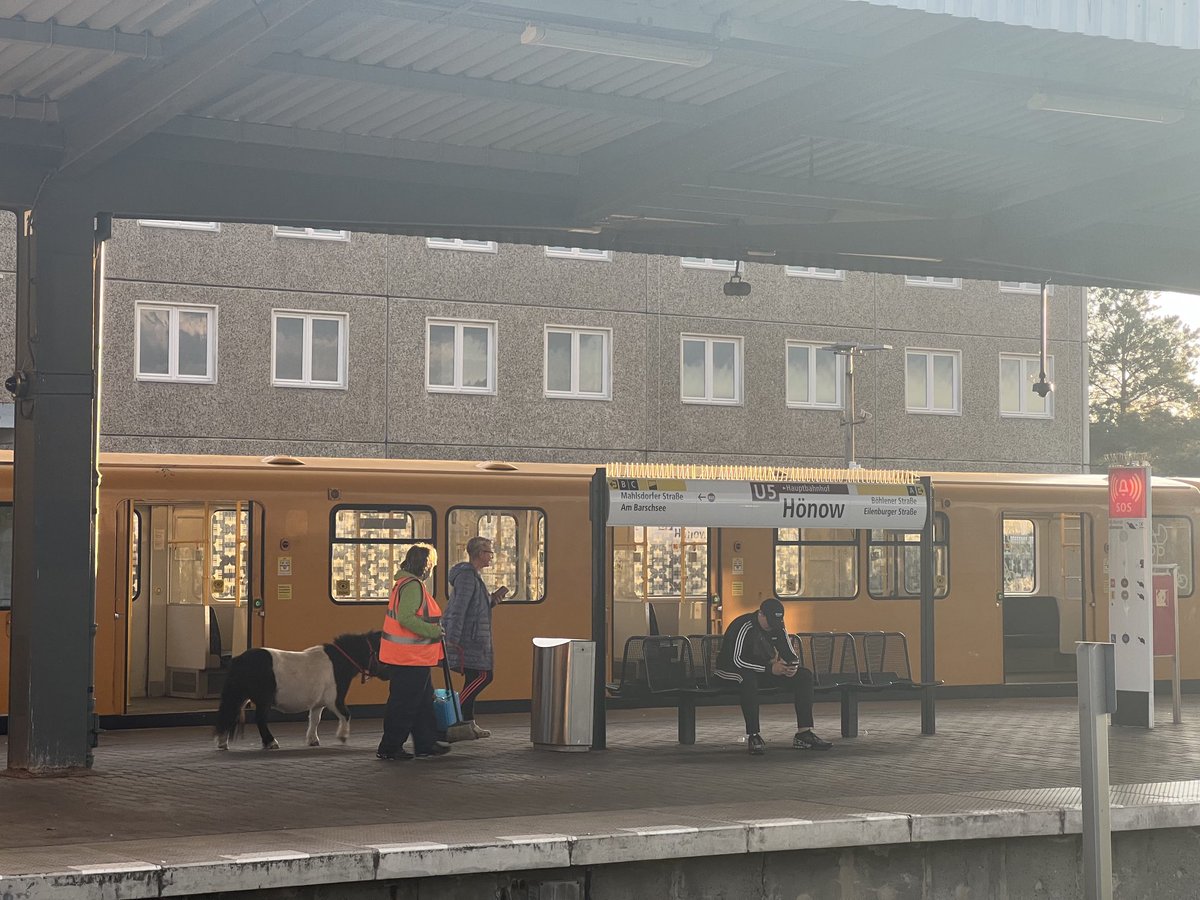 BVG_Kampagne's tweet photo. How it started                           How it's going https://t.co/SmGNuZWzoa