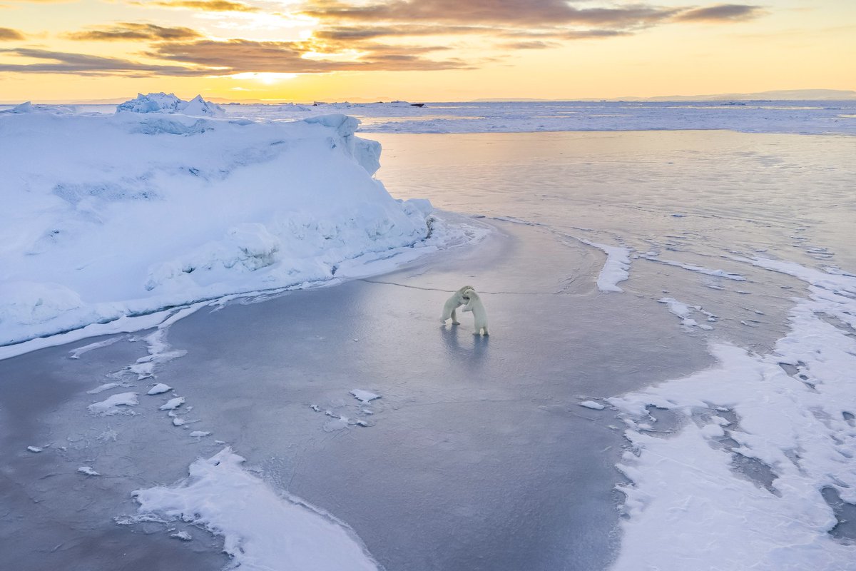 Florian Ledoux tweet media