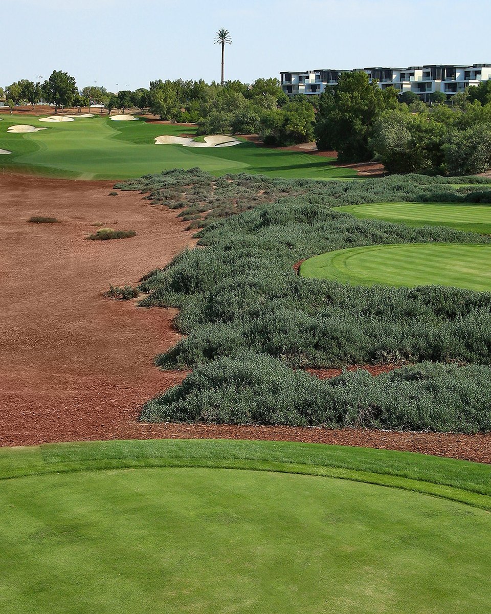 GolfJumeirah's tweet image. Champions view 👀 #EarthCourse