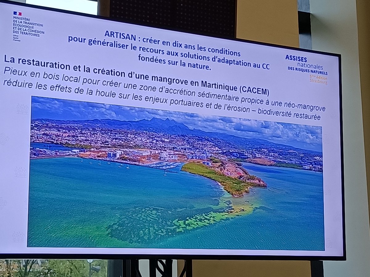 Fr_Grunewald's tweet photo. Gestions des risques d'inondation & #solutionsbaséessurlanature. Passionnante présentation #CEPRI aux #anrn2022. Échanges à prévoir avec #RepR car ça intéresse ses membres @CroixRouge @CAREfrance @Solidarites_Int @HI_france @RACFrance @ChristopheBechu @AFD_France @REHumanitaire https://t.co/VyjxVH8nFK