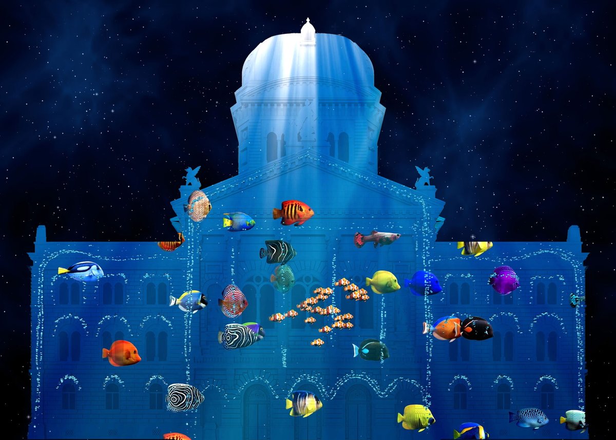 rvbbern's tweet photo. Bezaubernde Schönheit, Furchterregendes - ja, dichte Algenwälder, funkelndes Plankton, lebensfrohe Seepferdchen, mächtige Kraken und elegante Quallen sind die Protagonisten einer Erzählung aus Musik und Illusion.
#pointnemo #rendezvousbundeshaus #rendezvousbundesplatz https://t.co/PpyU1sY7wO